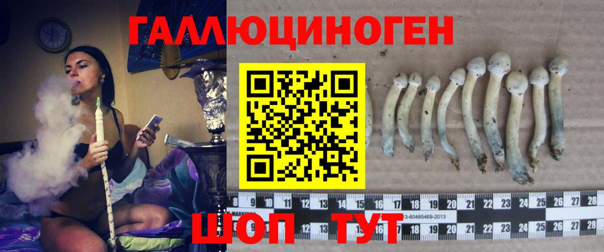 Кувандык  Галлюциногенные грибы GOLDEN TEACHER  наркотики  Вход с VPN 