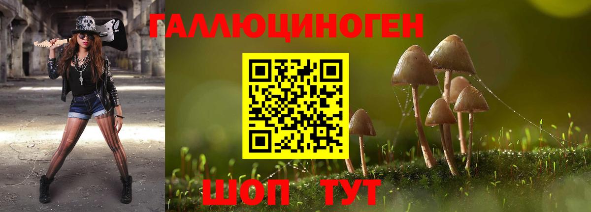 Галлюциногенные грибы мухоморы Кувандык