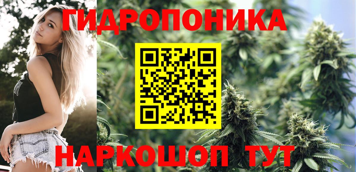 Кувандык  Каннабис план  Шишки марихуана SATIVA & INDICA  Шишки марихуана Amnesia  Вход с VPN 